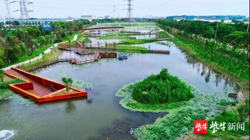 2100萬省級獎勵！蘇州這片區域生態環境建設喜獲肯定，水污染治理成效顯著
